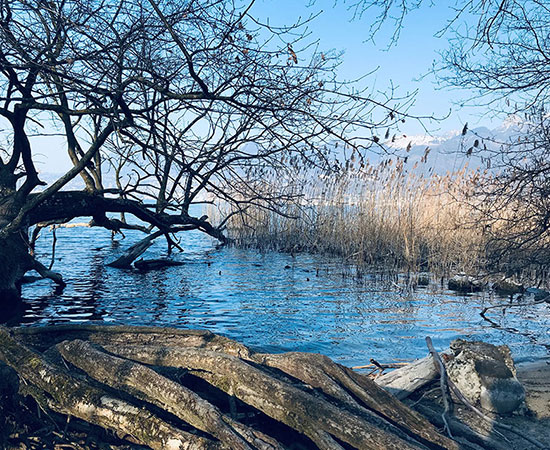 Wasser: sagenumwoben, mystisch und voller Geschichten