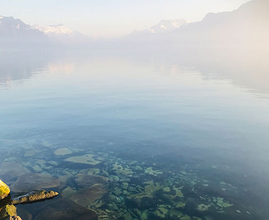 Stilles Wasser, was ist dein Geheimnis?
