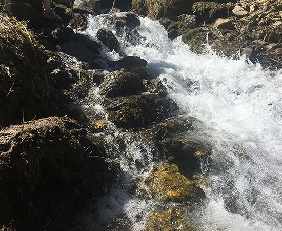 Der Bach und sein sprudelndes Wasser 