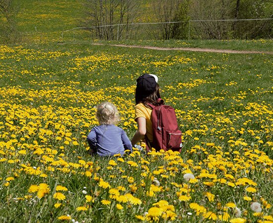 Deux enfants contemplent attentivement la nature
