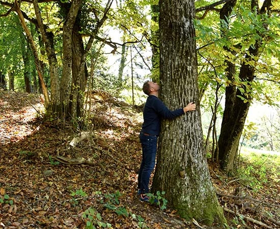Energie schöpfen in der Natur