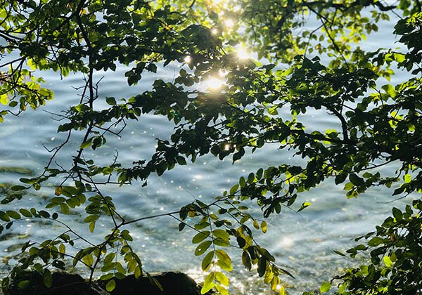 Rayons de soleil sur le lac