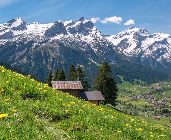 Prairie avec montagnes en arrière-plan