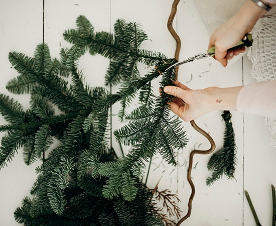 Personne coupant une branche de sapin
