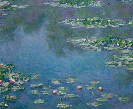 Nénuphars dans un étang et reflets