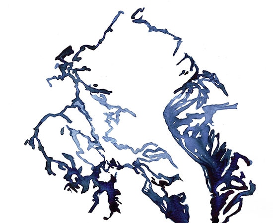 Dessin aquarelle Soixante-cinq pulsations/minute