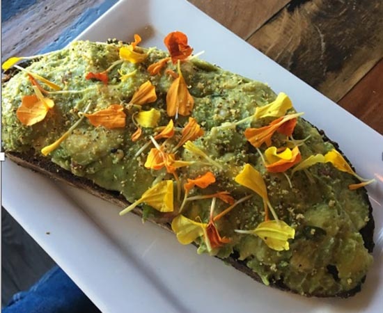Kapuzinerkresse auf dem Brot mit Avocadocreme