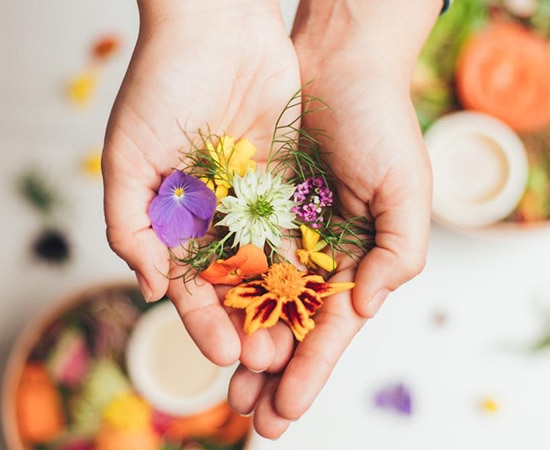 Des fleurs comestibles pour des recettes