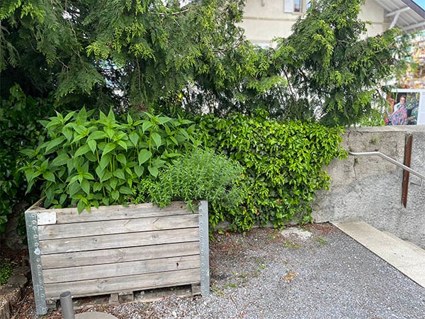 La nature dans la ville 