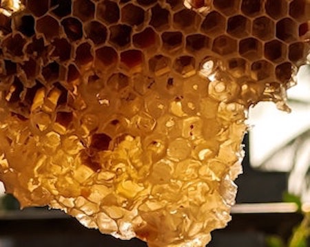 Les abeilles dans le programme ECO-Broye