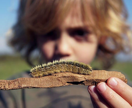 Schule und Natur: Tiere beobachten