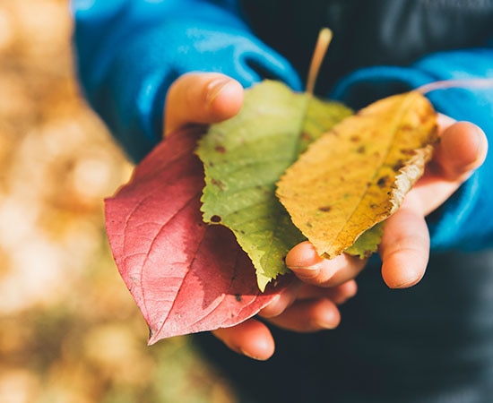 Élève avec des feuilles colorées