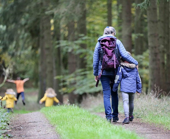 Schüler gehen in den Wald