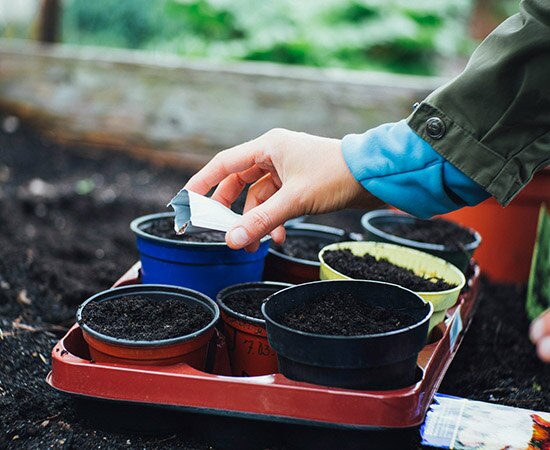 Semer pour balcon, terrasse et jardin