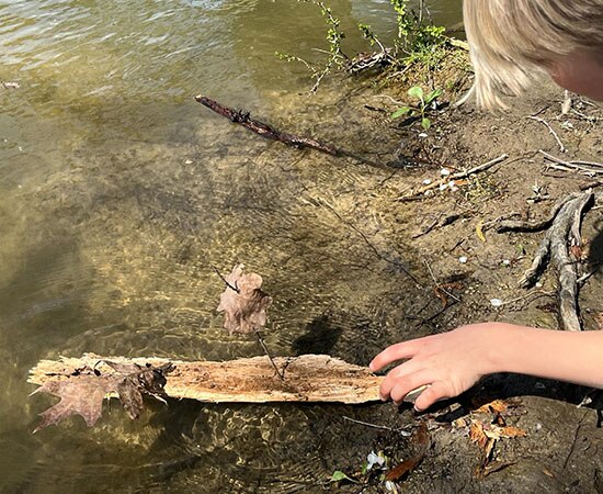 Schiffchen aus Treibholz im Wasser