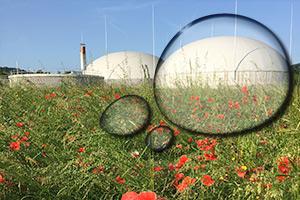 La plus grande installation de biogaz agricole suisse