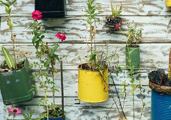 Des boîtes de conserve pour plantes