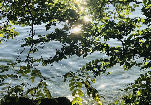Rayons de soleil sur le lac