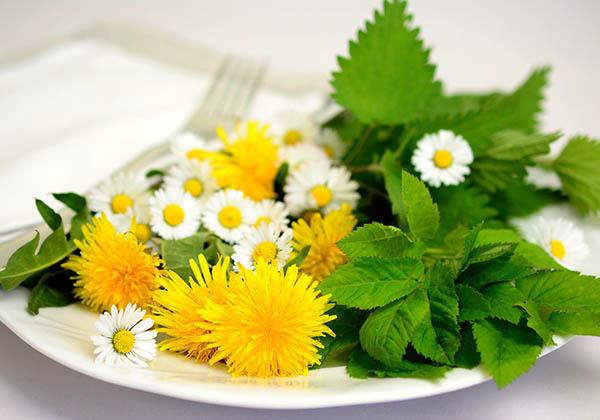 Pissenlit et pâquerettes sur une assiette