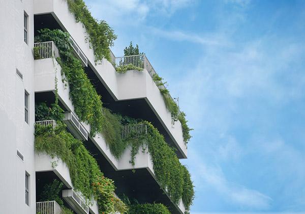 Hôtel à insectes pour la biodiversité