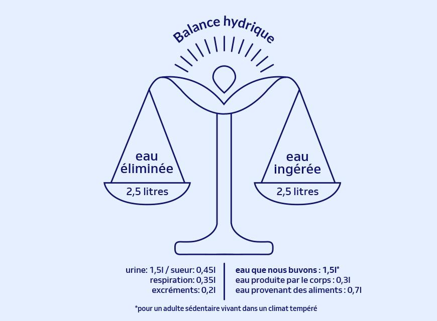 La balance hydrique