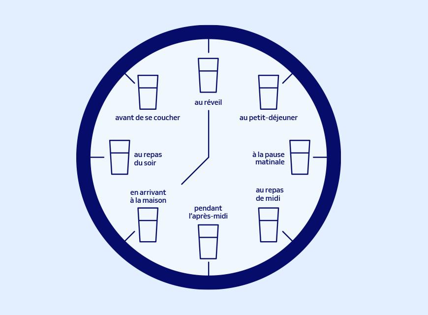 L'horloge de l'hydratation