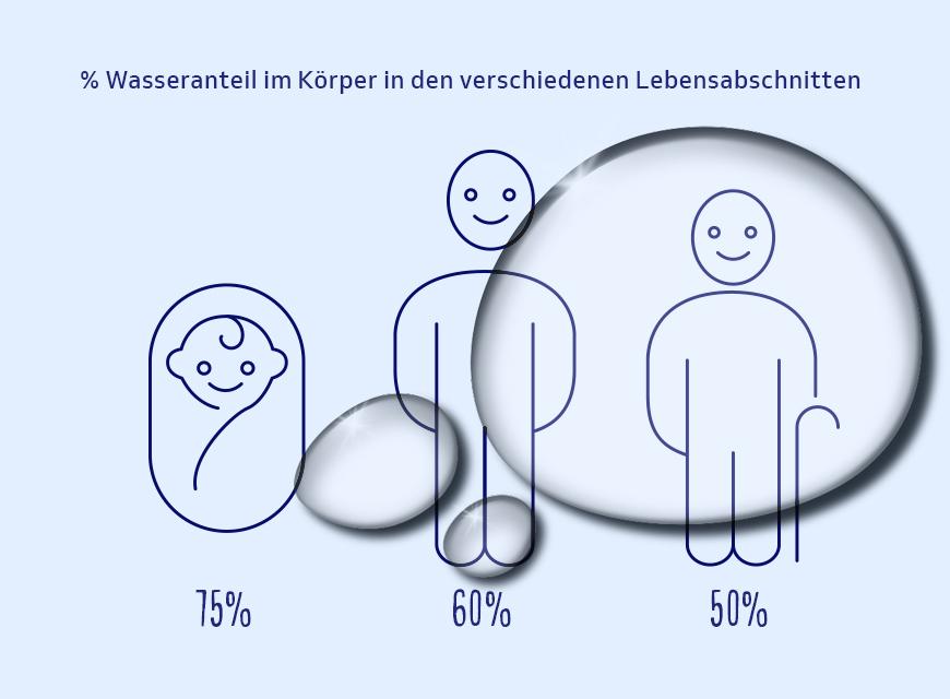Wassergehalt des Körpers nach Lebensaltern