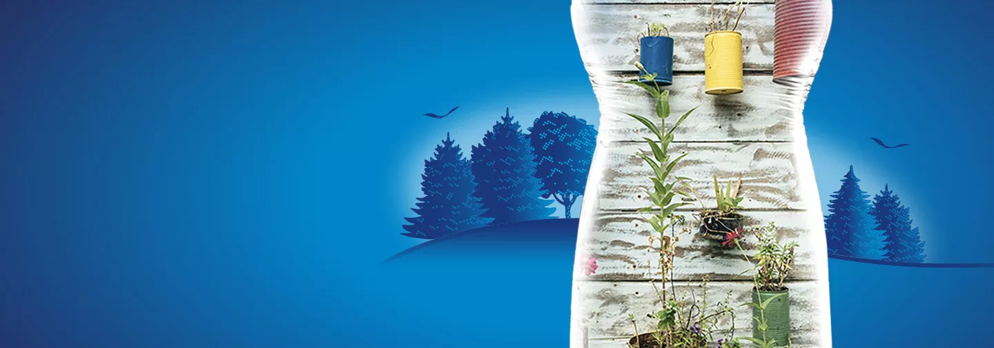 Des boîtes de conserve pour plantes