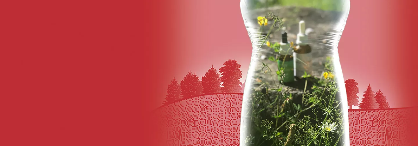 Wiesenblüten und Fläschchen mit Blütenessenzen