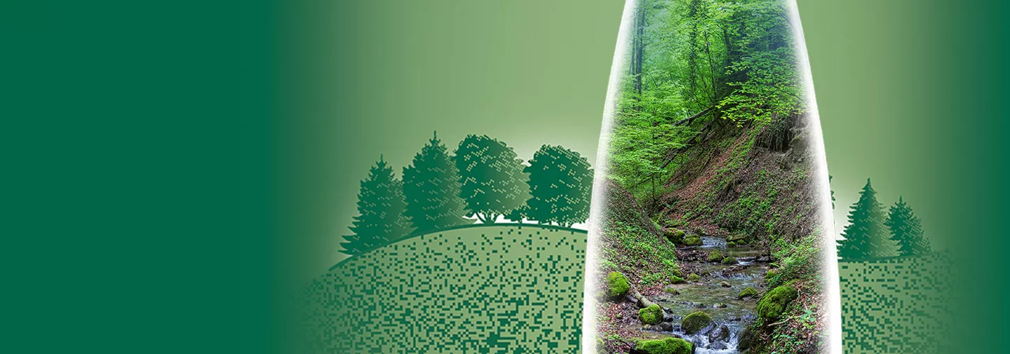 Cours d'eau dans le domaine d'Henniez
