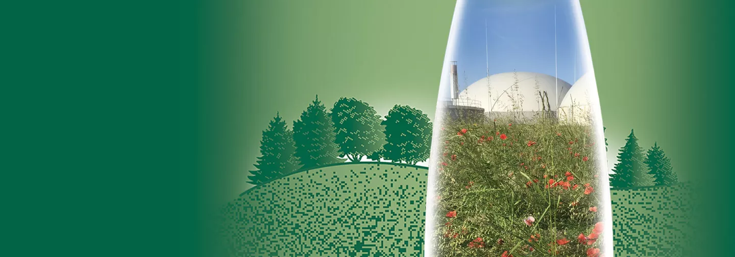 La plus grande installation de biogaz agricole suisse