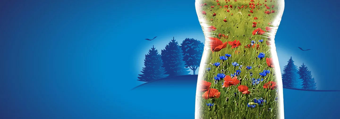Blumen in der HENNIEZ Wasserflasche