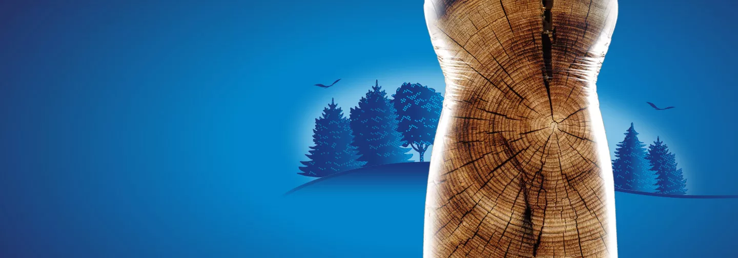 tronc d'arbre dans la forêt