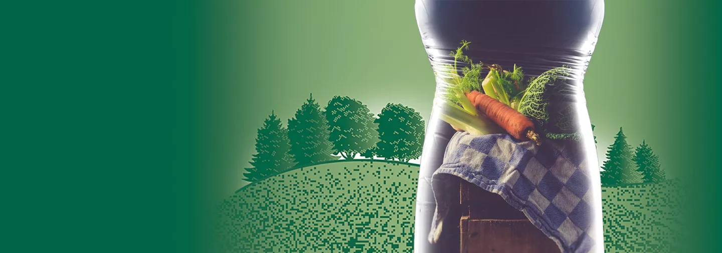 Diverses sortes de légumes