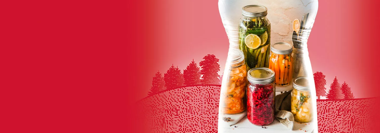 Blog FERMENTER, LE POUVOIR DES BONNES BACTÉRIES